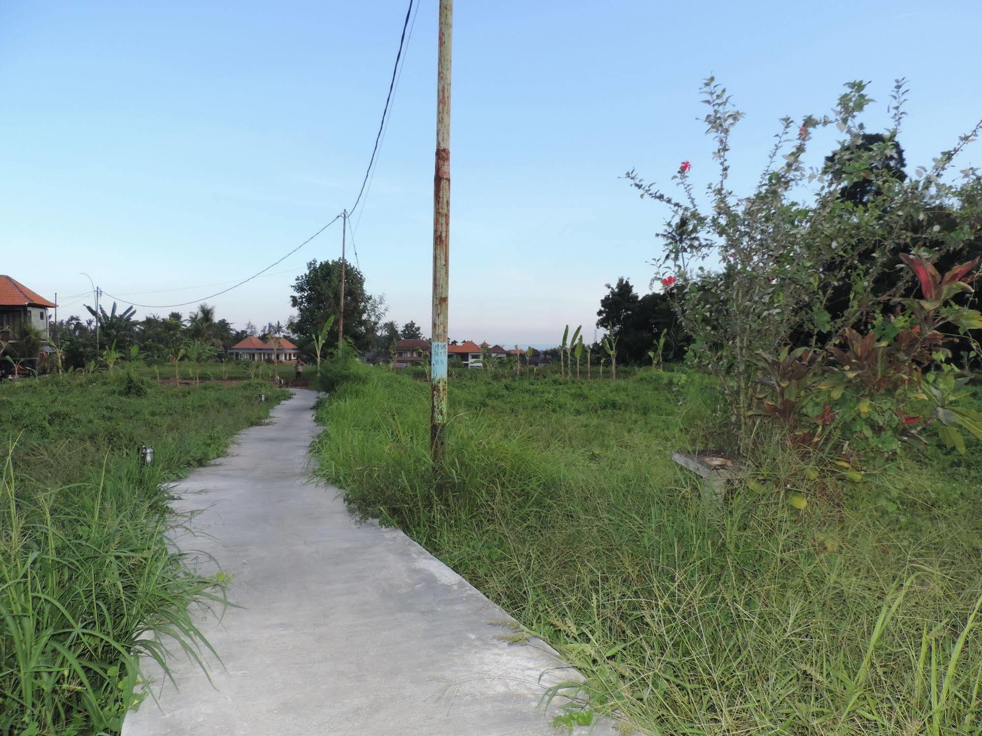 Duana'S Homestay Ubud Kültér fotó